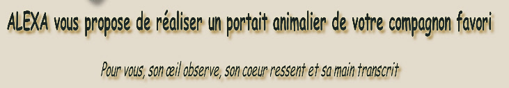 ALEXA vous propose de réaliser un portait animalier de votre compagnon favori 
Pour vous, son œil observe, son coeur ressent et sa main transcrit