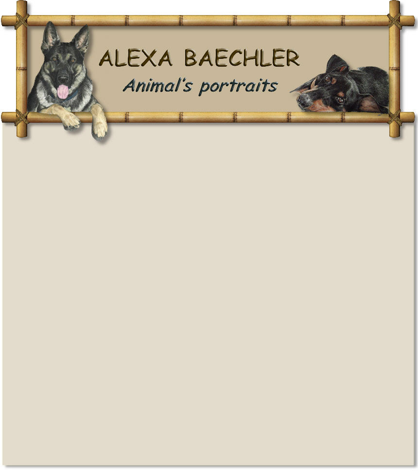 ALEXA BAECHLER
Animal’s portraits
